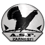 ACS Olimpic Zarnesti