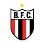 Botafogo-SP (Youth)